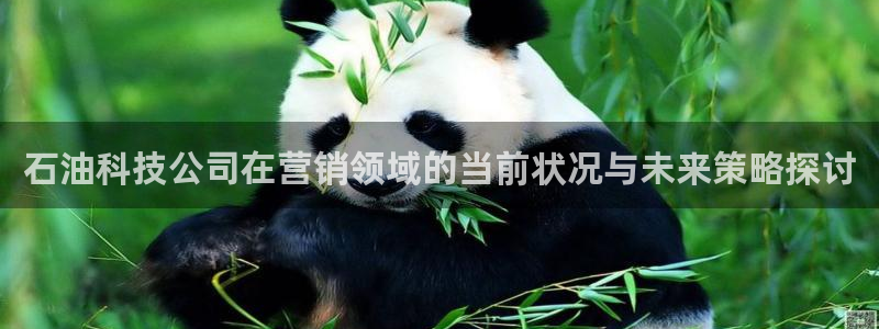 金年会官方体育频道直播