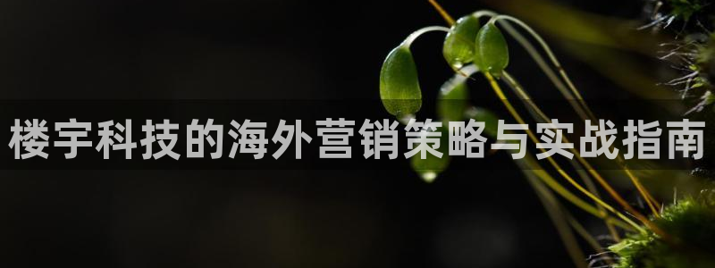 金年会体育app下载安装