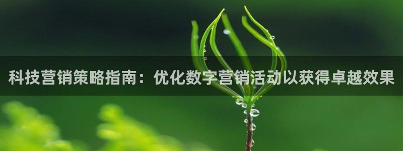 金年会诚信至上金字招牌
