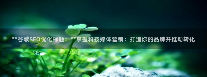 金年会体育在线登录