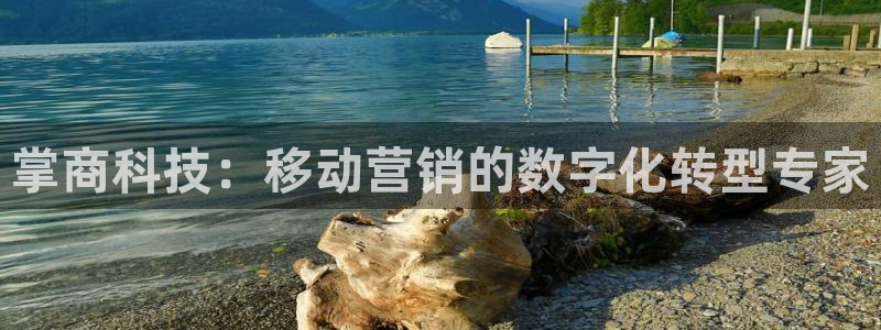 金年会网站稳不稳