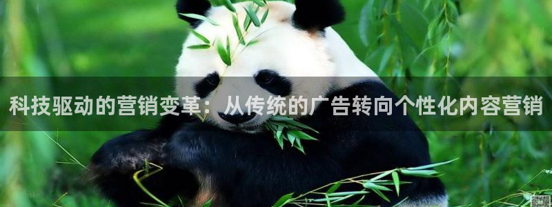 金年会金字招牌登录入口评测