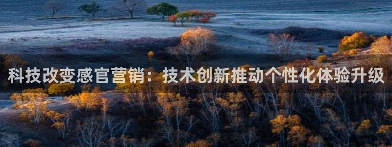 金年会下载官网app