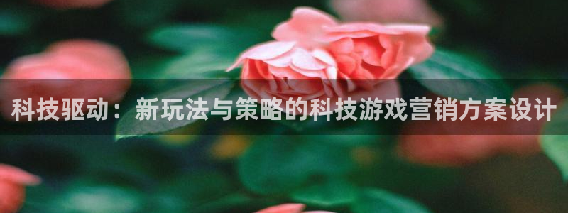 jinnianhui金年会官网