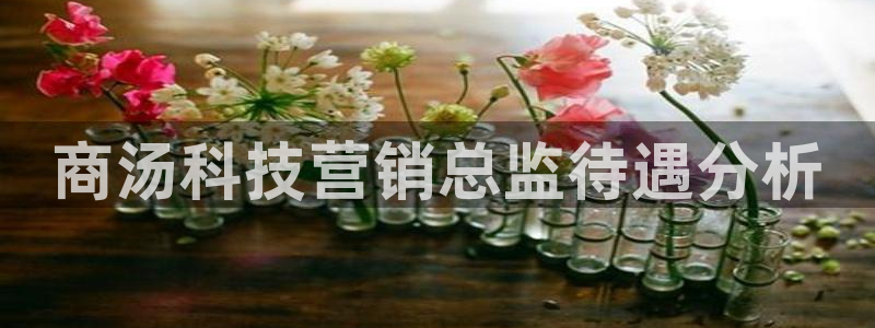 金年会官方入口app