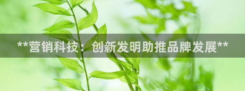 金年会体育入口