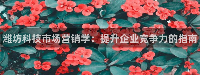 金年会官方下载入口手机版