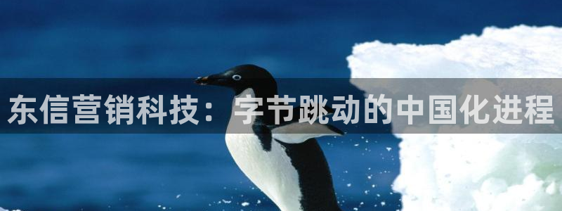 金年会ios版下载官网