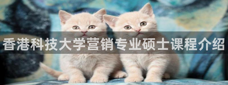 金年会网登录平台入口