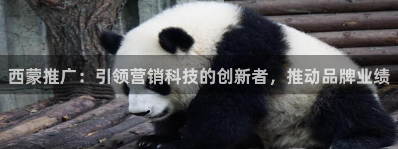 金年会官方app下载最新版
