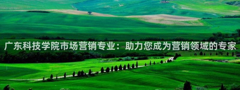 金年会app官网免费下载