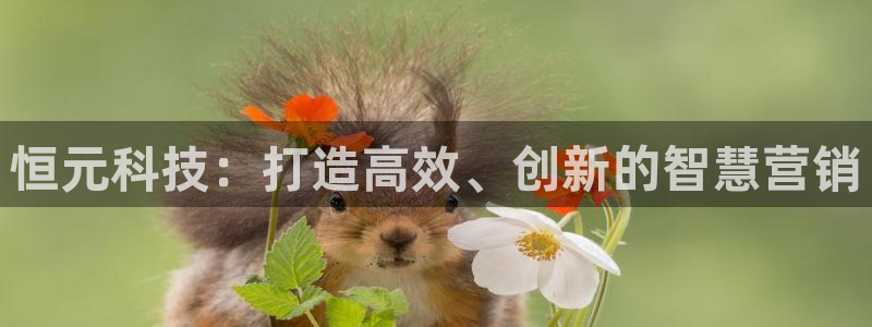 金年会体育app最新官网入口