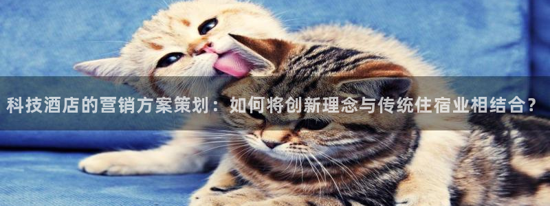 金年会app平台有人玩过吗