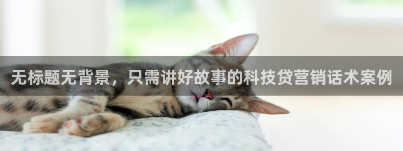 金年会体育app最新官网入口