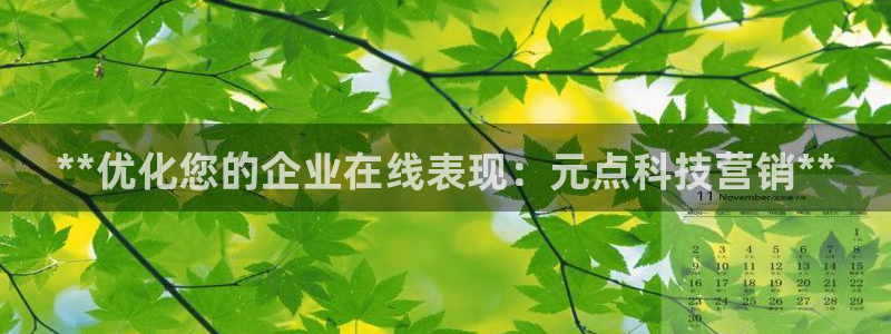金年会提现不了