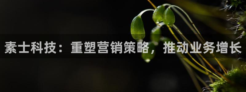 金年会下载