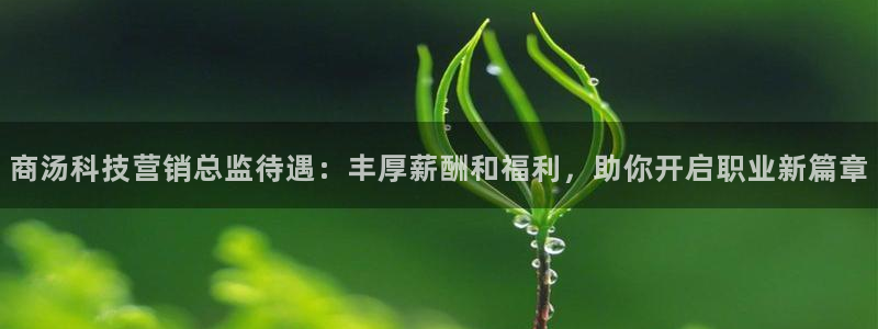 金年会 金字招牌诚信至上网址