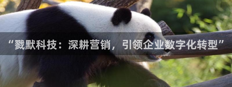 金年会体育如何