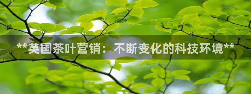 金年会官方网站登录网址是什么