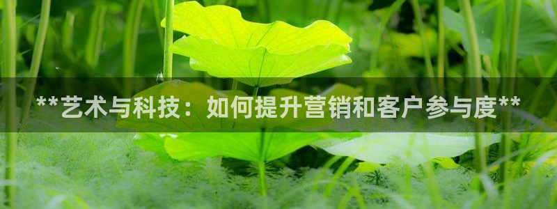 金年会网站拒绝出款说风控部门审核怎么办?