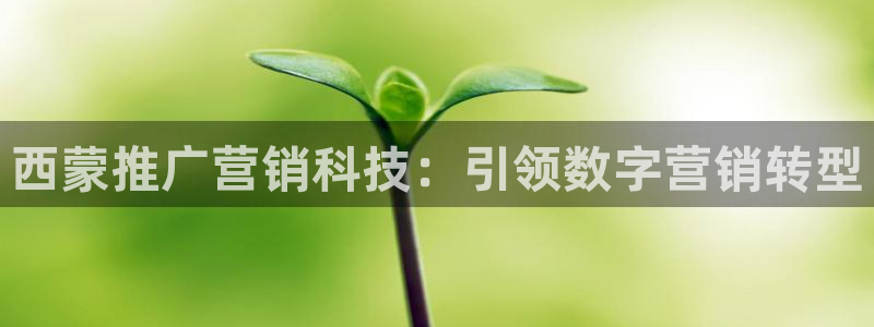金年会体育平台官网app