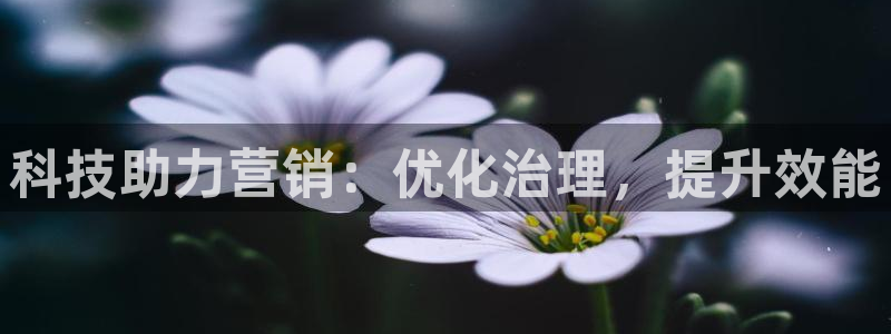 金年会信誉至上 | 金字招牌