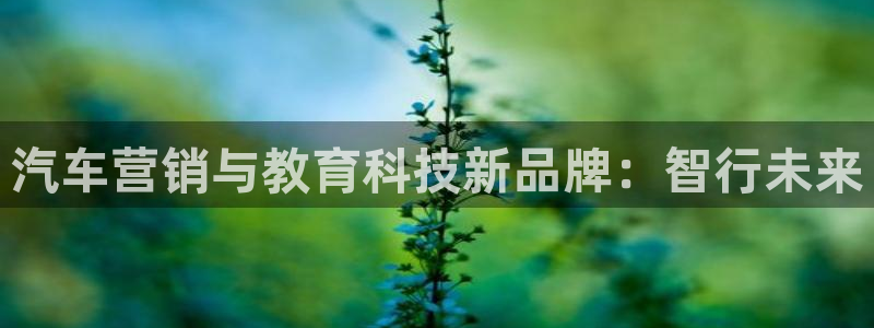 金年会qq群