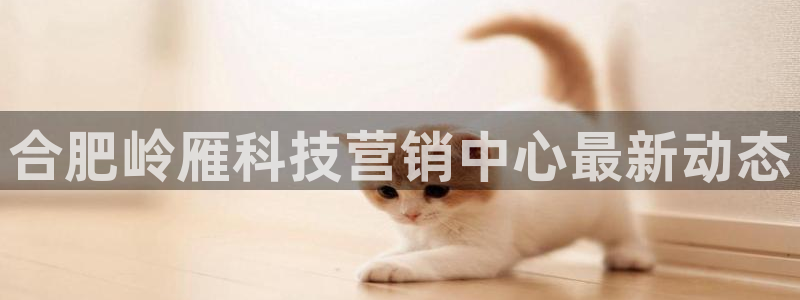 金年会官方入口APP