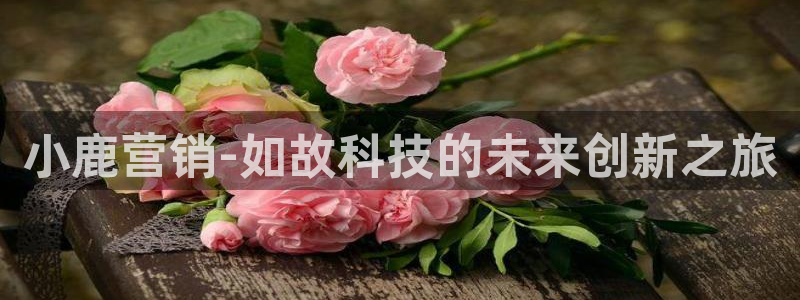 金年会体育官方平台下载