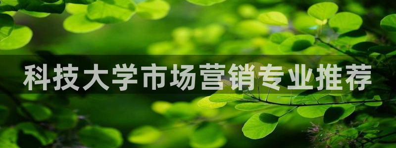 jinnianhui金年会