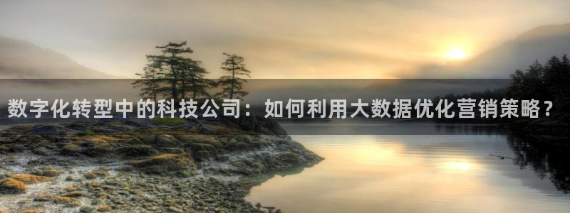 金年会体育官网入口