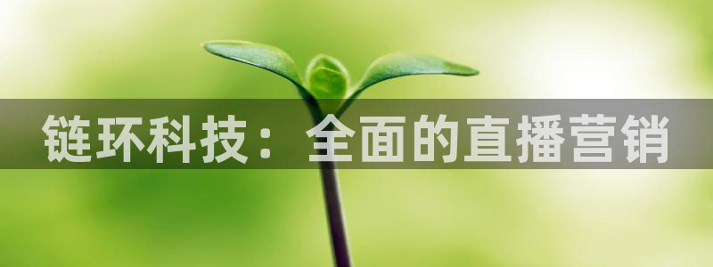 金年会登录网址