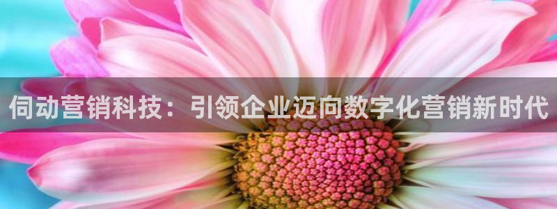 金年会官方在线入口网址查询