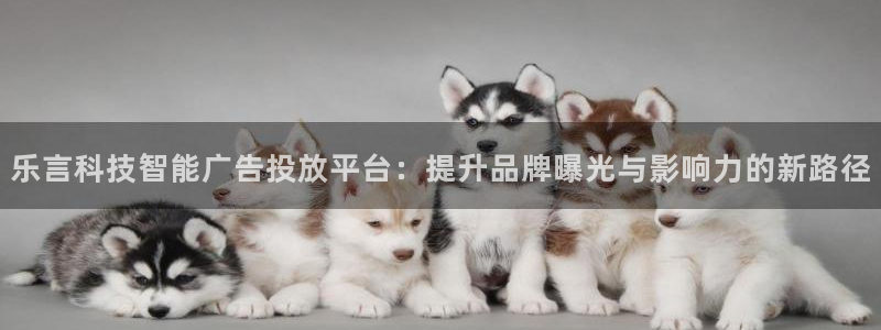 金年会手机网页版登录入口