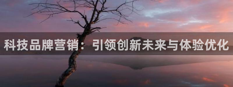 金年会是什么平台会不会提不了现