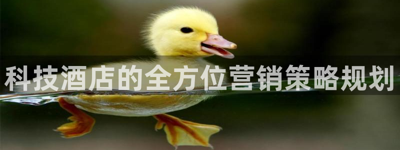 金年会体育中国官方网站
