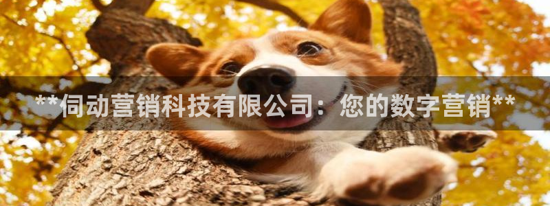 金年会体育娱乐