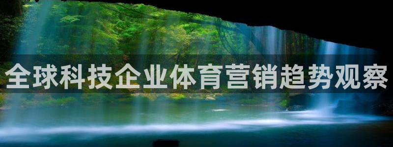 金年会体育app下载官网苹果手机