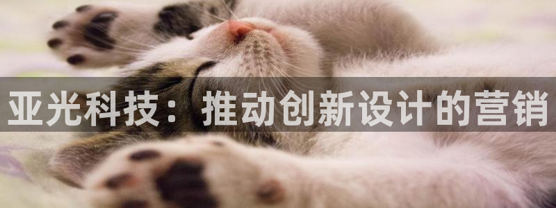 金年会APP官方网站