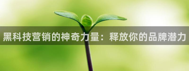 金年会信誉第一 百家号