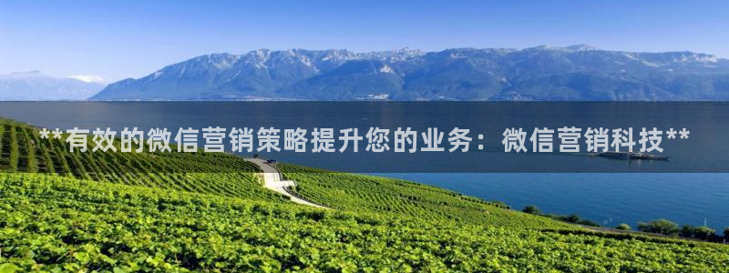 金年会体育合法吗