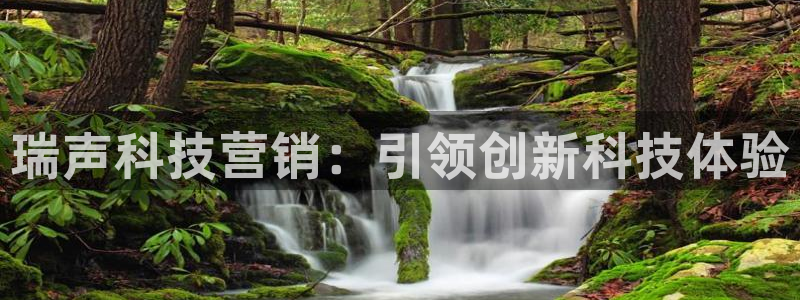 金年会体育黑钱吗