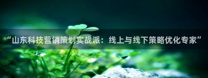 金年会网址有吗