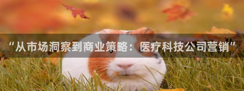 金年会官方入口app