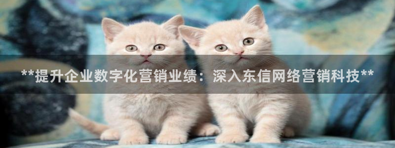 金年会App官方下载