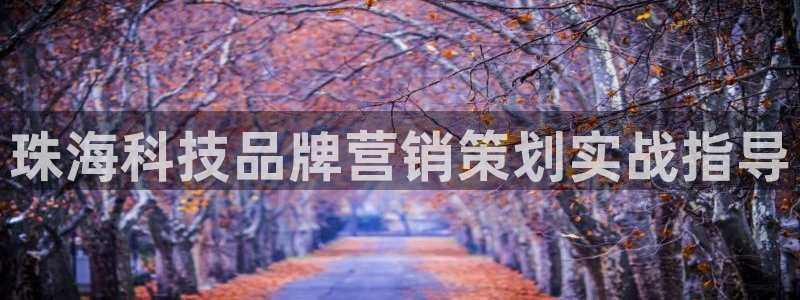 金年会pg电子官网首页