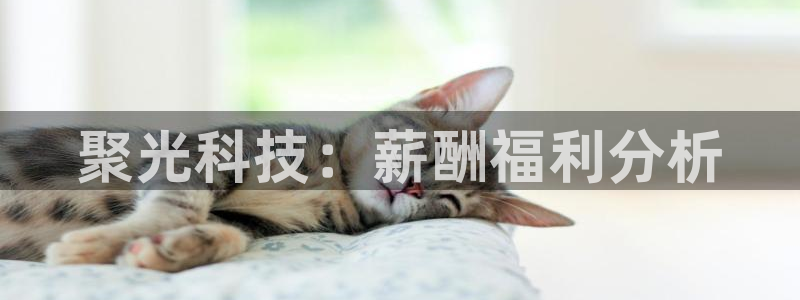 金年会官方在线登录网址是什么呢