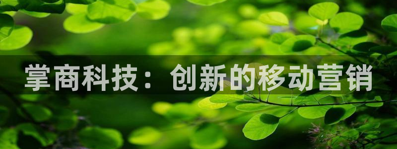 金年会电子游戏app