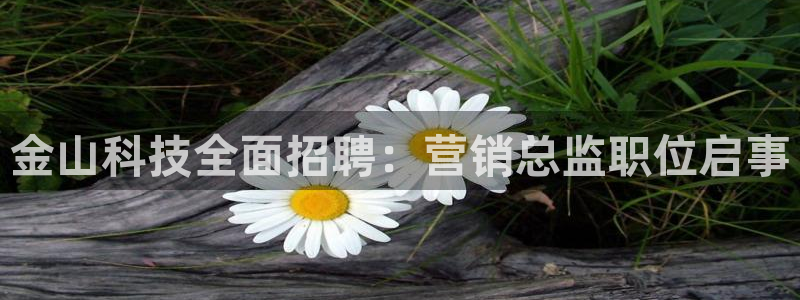 金年会app官方网站入口在哪
