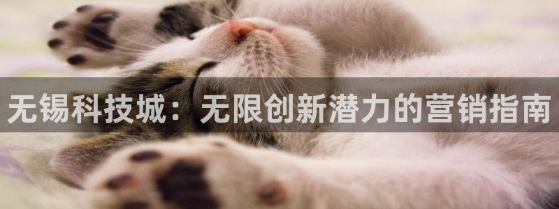 金年会入口网站